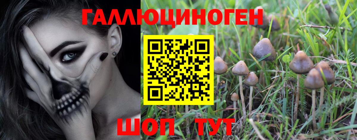 Псилоцибиновые грибы мухоморы  Галлюциногенные грибы прущие грибы  Джанкой  Вход с VPN 